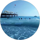 Nicolai B. profile picture